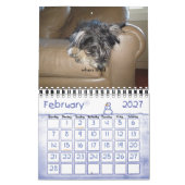 Chewie: イメージの年 カレンダー (2月 2027)