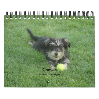 Chewie: イメージの年 カレンダー