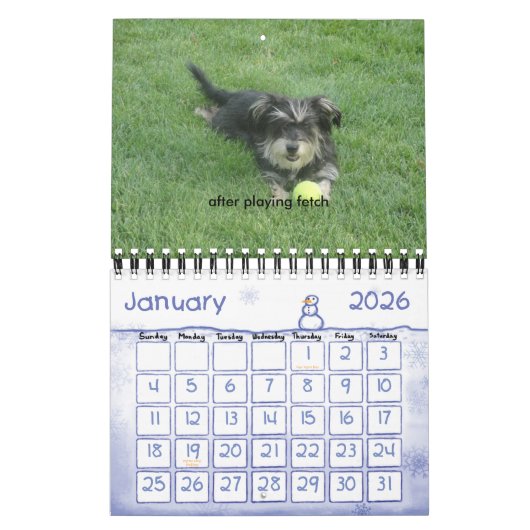 Chewie: イメージの年 カレンダー (1月 2026)