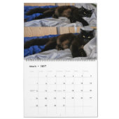 Chewie 黒猫: 18か月にわたる眉毛と肉球の記録 カレンダー (3月 2027)