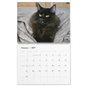 Chewie 黒猫: 18か月にわたる眉毛と肉球の記録 カレンダー (2月 2027)