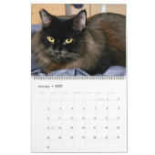 Chewie 黒猫: 18か月にわたる眉毛と肉球の記録 カレンダー (1月 2027)
