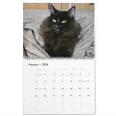 Chewie the Black Cat: 18 Months of Whiskers, Paws, カレンダー (2月 2026)