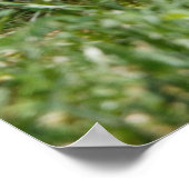 Chewing on it ポスター (角)