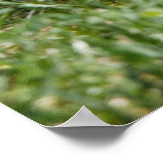 Chewing on it ポスター (角)