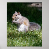 Chewing on it ポスター (正面)