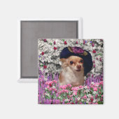 Chi Chi in Flowers – かわいい帽子のチワホアパピー マグネット (正面/裏面)