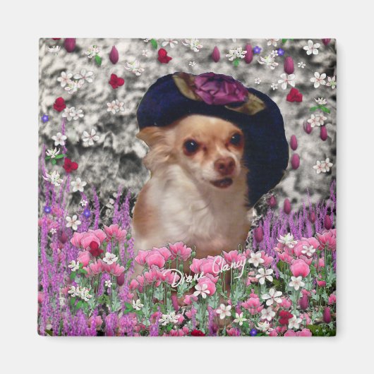 Chi Chi in Flowers – かわいい帽子のチワホアパピー マグネット (正面)