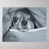 Chi Cuddle Time ポスター (正面)