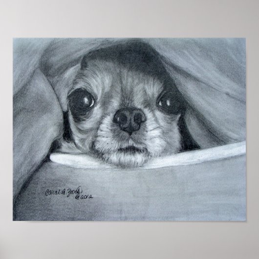 Chi Cuddle Time ポスター (正面)