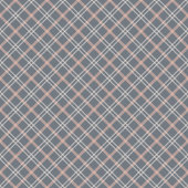 Chic Coral Grey Shower Curtain Elegant Plaid Desig シャワーカーテン