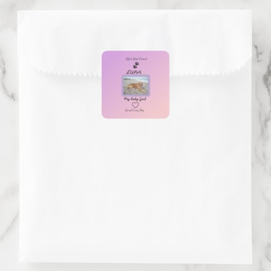 Chic Gradient Pawprint Keepsake スクエアシール (バッグ)