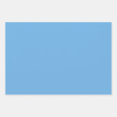 Chic Grass Green and Blue Hues Wrapping Paper ラッピングペーパーシート (正面3)