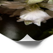 Chic Moody Botanicals ポスター (コーナー)