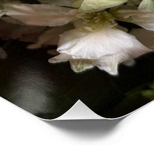 Chic Moody Botanicals ポスター (コーナー)