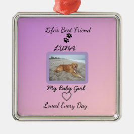 Chic Seasonal Companion Keepsake メタルオーナメント