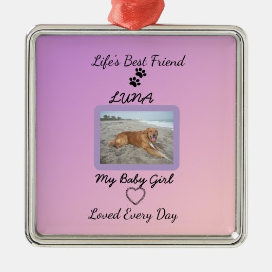 Chic Seasonal Companion Keepsake メタルオーナメント (正面)