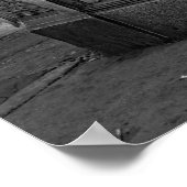 Chicago Illinois Kady Camera Co Store Window 1950s ポスター (角)