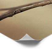 Chickadee ポスター (角)