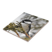 Chickadee_9505 タイル (側面)
