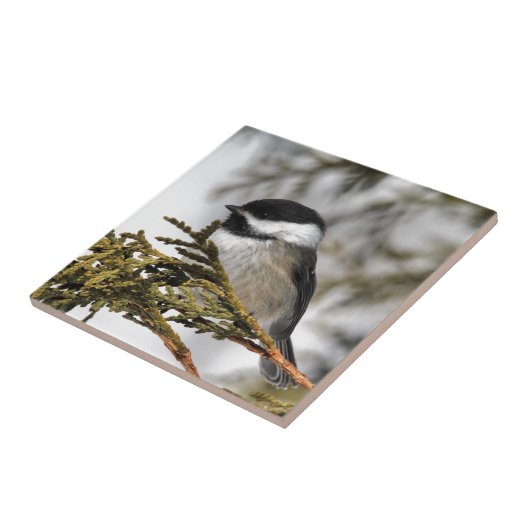 Chickadee_9505 タイル (側面)