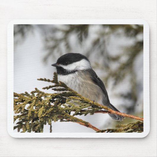 Chickadee_9505 マウスパッド (正面)