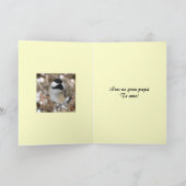 Chickadee Diaa del Padre カード (内部)