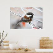 Chickadee in Winter ポスター (キッチン)
