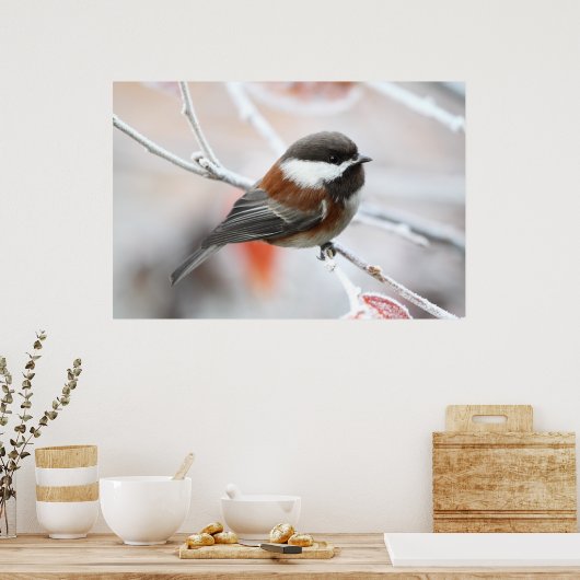 Chickadee in Winter ポスター (キッチン)