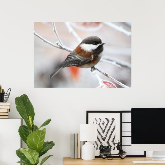 Chickadee in Winter ポスター (ホームオフィス)