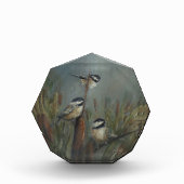 Chickadee Octogonal フォトブロック (正面)