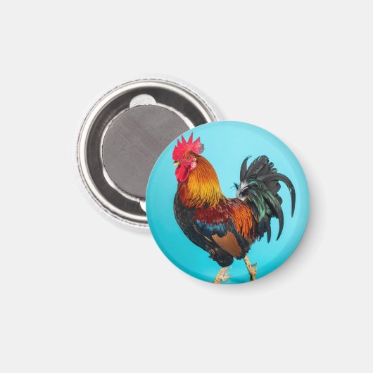 chicken マグネット (正面/裏面)