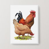 Chicken And Rooster Art, Poultry, Farm Animals 缶バッジ (正面)
