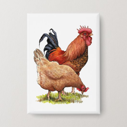 Chicken And Rooster Art, Poultry, Farm Animals 缶バッジ (正面)