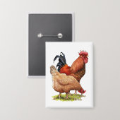 Chicken And Rooster Art, Poultry, Farm Animals 缶バッジ (正面/裏面)