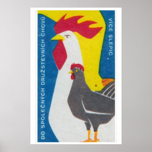Chicken and Rooster - Matchbox Print - Czech Wall ポスター (正面)