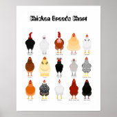 chicken breeds chart ポスター (正面)