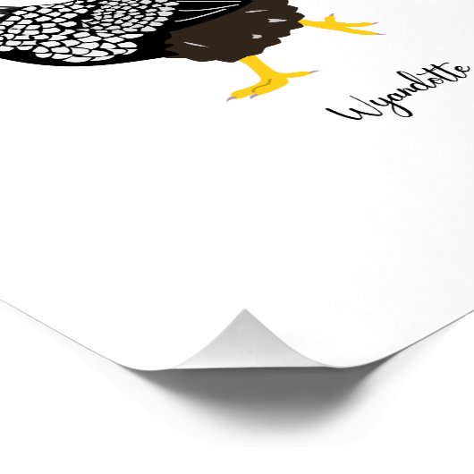 chicken breeds chart ポスター (コーナー)