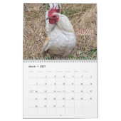 Chicken Calendar 2026 カレンダー (3月 2027)