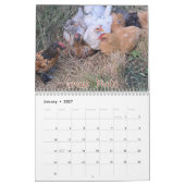 Chicken Calendar 2026 カレンダー (1月 2027)