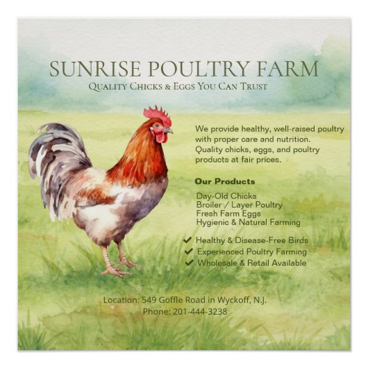 Chicken Farm Glossy Poster ポスター (正面)