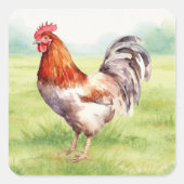 Chicken Farm Sticker スクエアシール (正面)