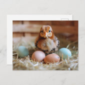 Chicken Next to Easter Nest with Colorful Eggs ポストカード (正面/裏面)