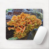 Chicken of the Woods Makroomの写真 マウスパッド (マウス)