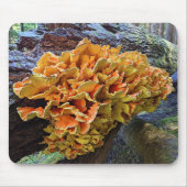 Chicken of the Woods Makroomの写真 マウスパッド (正面)