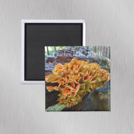 Chicken of the Woods Makroomの写真 マグネット