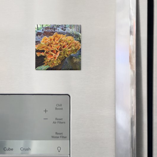 Chicken of the Woods Makroomの写真 マグネット (インサイチュ (冷蔵庫))