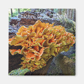 Chicken of the Woods Makroomの写真 マグネット (正面)