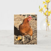 Chicken On The Move With The Side-Eye カード (黄色い花)