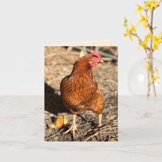 Chicken On The Move With The Side-Eye カード (黄色い花)